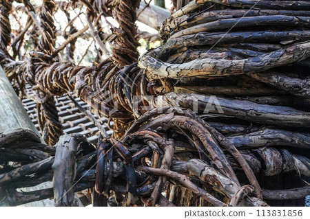 Iya的Kazura橋 Iya的Kazura橋 113831856