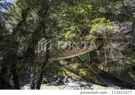Kazura Bridge in Iya 113831877