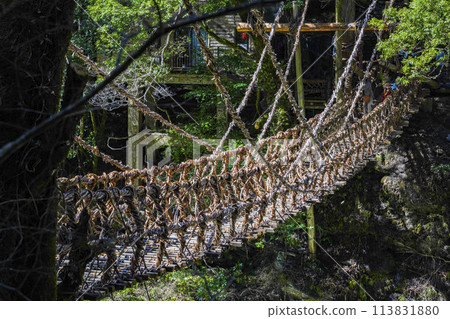 Kazura Bridge in Iya 113831880
