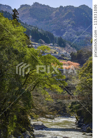 Kazura Bridge in Iya 113831886