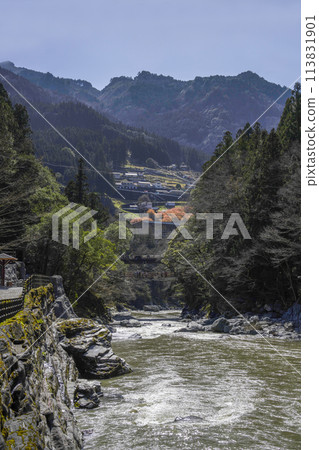 Kazura Bridge in Iya 113831901