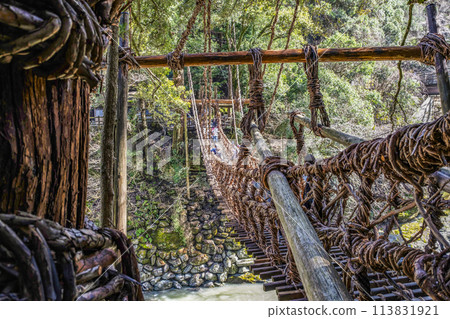 Kazura Bridge in Iya 113831921