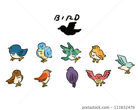 各種鳥類的手繪風格插圖集 113832476