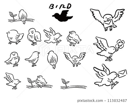 手繪風格線條畫各種鳥類插圖集 手繪風格線條畫各種鳥類插圖集 113832487