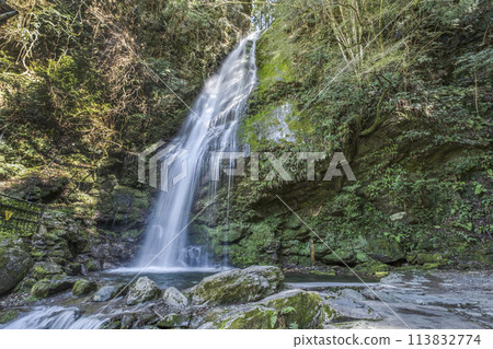 Biwa Falls near the Kazurabashi Bridge in Iya Biwa Falls near the Kazurabashi Bridge in Iya 113832774