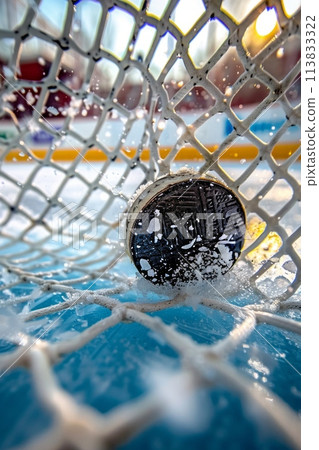 A close-up look at a stunning net holding a lone shoe, as if frozen in time, telling a mysterious story of a lost princess. 113833322