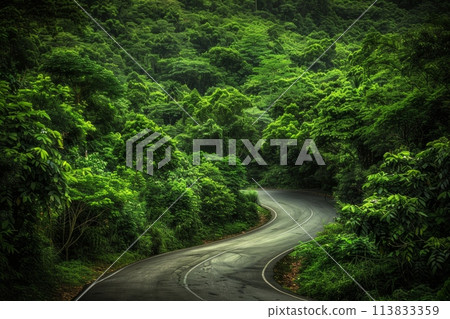 A winding road meanders through a lush green forest, surrounded by towering trees with leafy canopies and distant mountains in the background. 113833359