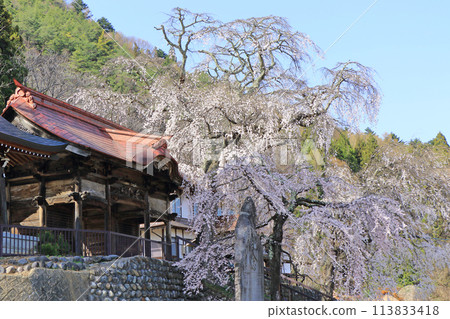 松本市Azusakawa Mahikari-ji寺 松本市Azusakawa Mahikari-ji寺 113833418