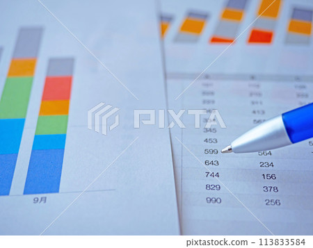 Graphs and documents on the table Graphs and documents on the table 113833584