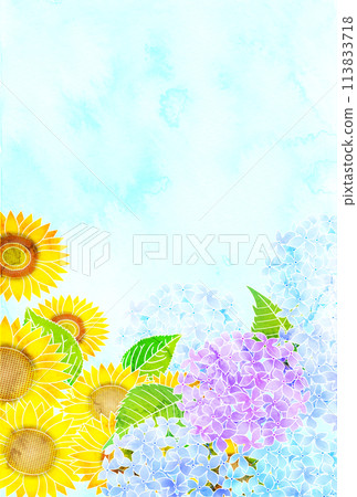 向日葵繡球花水彩夏天背景 113833718