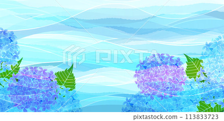 繡球花雨季花背景 繡球花雨季花背景 113833723