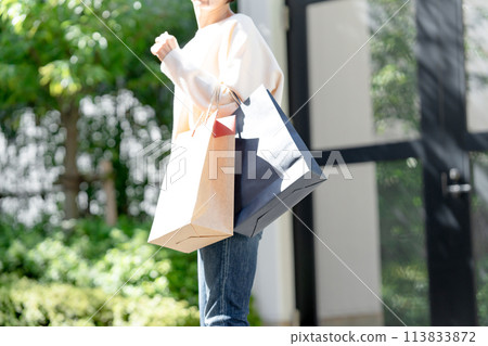 A woman with a shopping bag A woman with a shopping bag 113833872