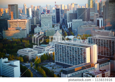 National Diet Building scenery 113833916