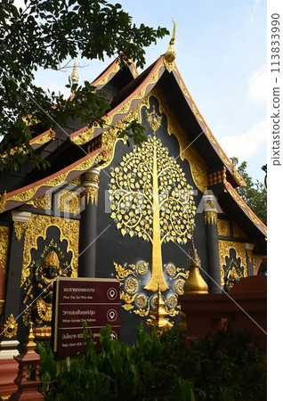 The Buddhist Church is splendor The beauty is known as the highest level of Buddhist art. Wat Phra That Doi Pra Chan. This temple is located on a mountain. 113833990