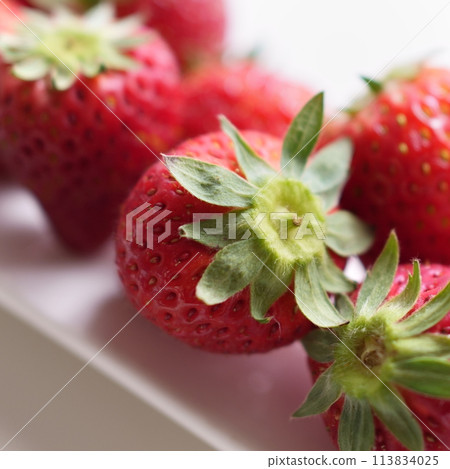 Strawberry 1:1 Strawberry 1:1 113834025