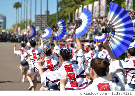 Tokushima City Awa Odori Spring Festival "Hanaharu Festa" Famous group of women dancing Happi dance Tokushima City Awa Odori Spring Festival "Hanaharu Festa" Famous group of women dancing Happi dance 113834121