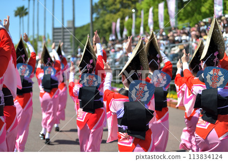 Tokushima City Awa Odori: A famous female dance group at the spring festival "Hanaharu Festa" 113834124