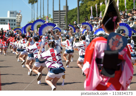 Tokushima City Awa Odori Spring Festival "Hanaharu Festa" Famous group of women dancing Happi dance 113834173