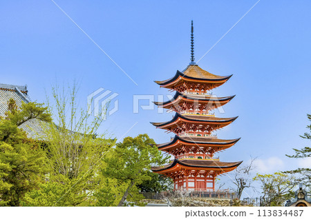 Hiroshima Itsukushima Shrine Five-story Pagoda (from the main shrine side) Hiroshima Itsukushima Shrine Five-story Pagoda (from the main shrine side) 113834487