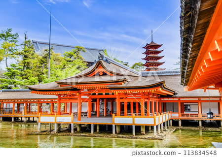 廣島 嚴島神社 客神淨化殿與五層寶塔 113834548