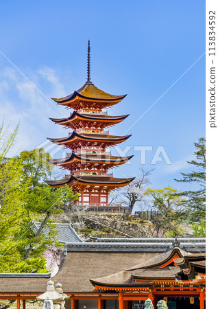 Hiroshima Itsukushima Shrine Five-story Pagoda (from the main shrine side) Hiroshima Itsukushima Shrine Five-story Pagoda (from the main shrine side) 113834592