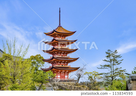 Hiroshima Itsukushima Shrine Five-story Pagoda (from the main shrine side) 113834593