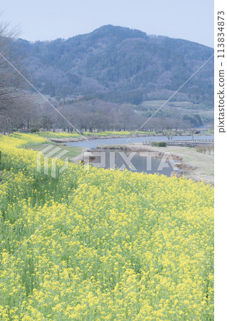 Niigata Kamisekigata Park (Niigata City) Niigata Kamisekigata Park (Niigata City) 113834873
