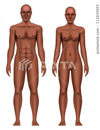 Black man and woman anatomical body realistic vector illustration isolated on a white background 113834955