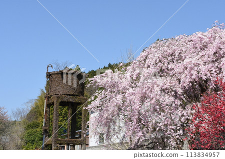 Weeping cherry blossoms and a water tower at Ise Okutsu, the terminal station on the JR Meisho Line 113834957