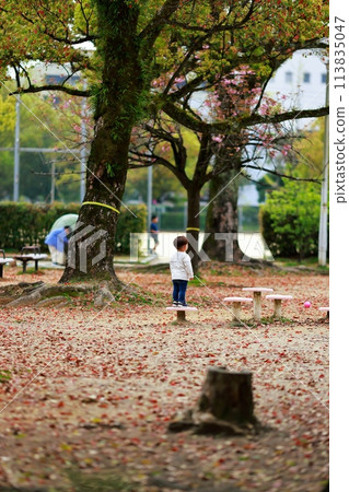 Dad playing with children in the park Dad playing with children in the park 113835047