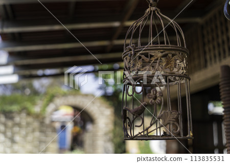 Garden birdcage decor 113835531