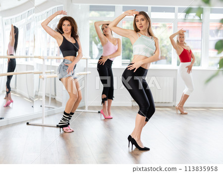 Group of women dancing high heels in studio Group of women dancing high heels in studio 113835958