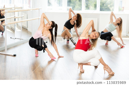 Woman with female perform dance in heels, squat down, actively repeat movements of instructor. 113835989