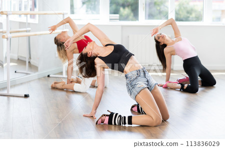 Group of women in high heels dances on floor 113836029