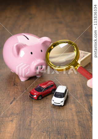 Pig money box and car (+magnifying glass) Pig money box and car (+magnifying glass) 113836334