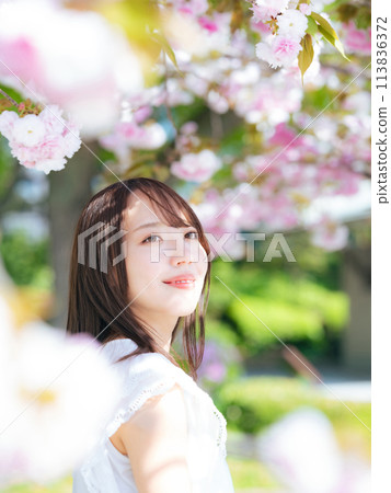 Cherry blossom and woman portrait 113836372