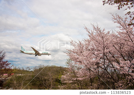 客機降落在成田國際機場 113836523
