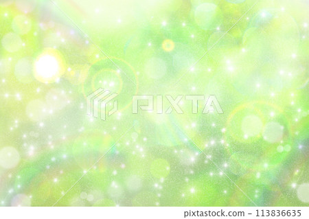 綠色閃光背景 113836635