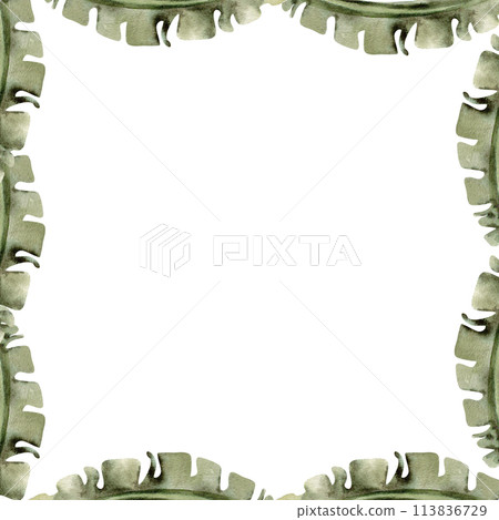Green vintage tropical palm leaves watercolor frame. Hand drawn green floral border, botanical template for summer, tourist agency, flower shop , packing design 113836729