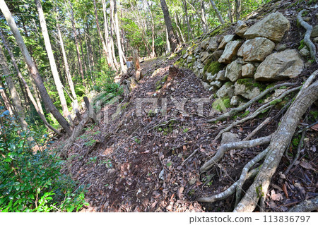 Stone walls and enclosures of Wakasa Takeda's "Shiraishiyama Castle" in Fukui Prefecture Stone walls and enclosures of Wakasa Takeda's "Shiraishiyama Castle" in Fukui Prefecture 113836797