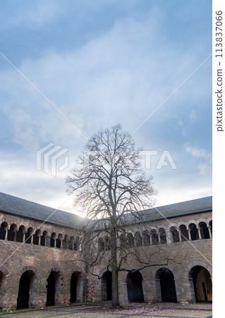 Trier, Rijnland-Palts, Germany, 23th of March, 2024, Bare Tree Silhouette against the Sky in 113837066