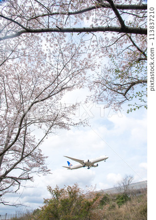 A passenger plane landing at Narita International Airport 113837210