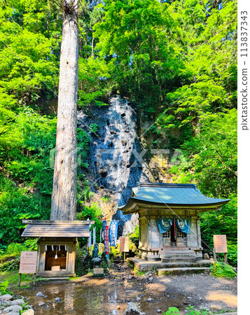 Mount Haguro: Suga Falls Mount Haguro: Suga Falls 113837343