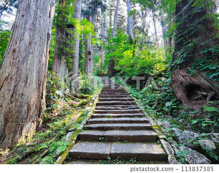 羽黑山:一坂 羽黑山:一坂 113837385