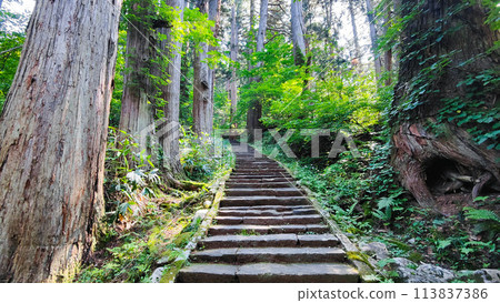 羽黑山:一坂 羽黑山:一坂 113837386