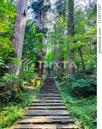 羽黑山：一坂 113837387