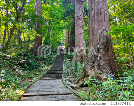 Mount Haguro: Second Slope 113837411