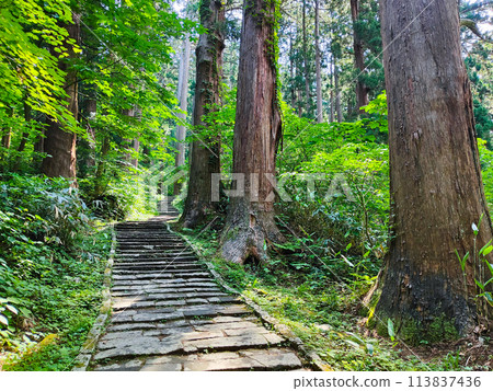 Mount Haguro: Second Slope 113837436