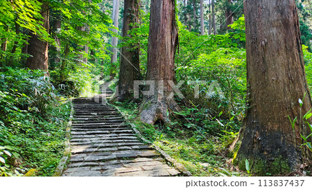 Mount Haguro: Second Slope 113837437