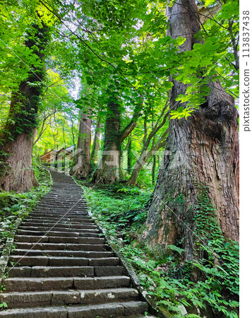 Mount Haguro: Third Slope 113837438